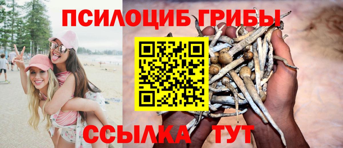 Псилоцибиновые грибы GOLDEN TEACHER Алапаевск